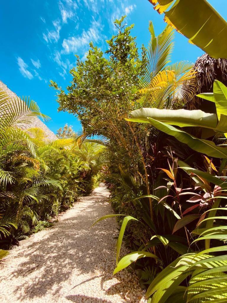 Villas Argan Playa Santa Teresa  ภายนอก รูปภาพ